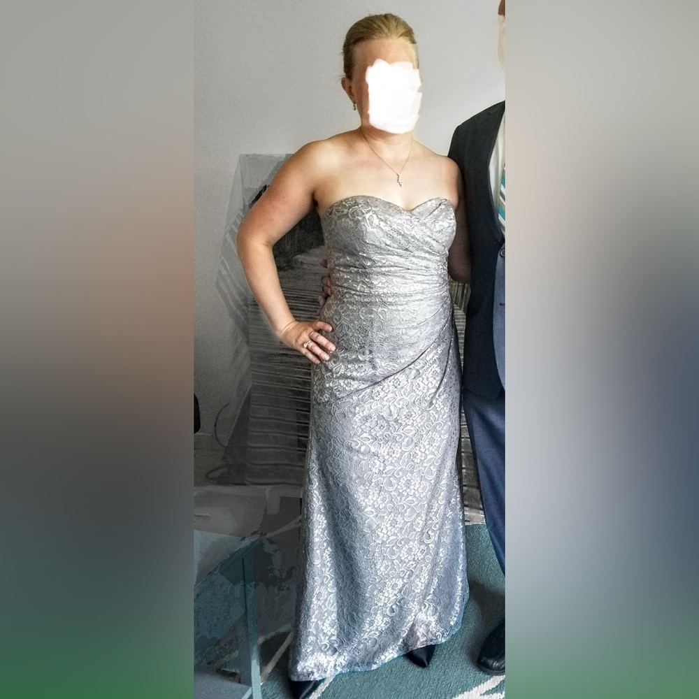 1 Sz 10P/8P Silver Lace Strapless Shiny/Sweetheart Fit & Flare Petite Slit, Long